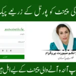8171 Portal Check BISP Payment 2025