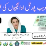 8171 Web Portal Payment Verification