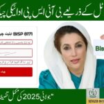 8171 CNIC Check & Payment Status 2025 – Simple Guide to Confirm and Receive Rs. 13,500
