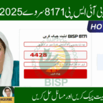 BISP Survey 2025: How to Check Eligibility with CNIC and Fix Common Issues