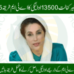 Simple ATM Guide for Benazir Kafaalat 13500 Payment – 2025