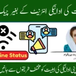 BISP 8171 August 2025 Payment Eligibility Check Via Offline To Confirm Rs. 13,500 Payment