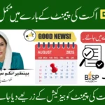BISP 8171 August 2025 Payments via JazzCash
