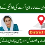 BISP 8171 August Phase 3 – Check Rs 13,500 Payment & District List Easily