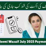 Benazir Taleemi Wazaif July 2025 Payment Released – Full Details and How to Get Paid