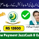 How to Receive BISP Kafalat Rs. 13,500 July 2025 Payment via JazzCash or EasypaisaHow to Receive BISP Kafalat Rs. 13,500 July 2025 Payment via JazzCash or Easypaisa