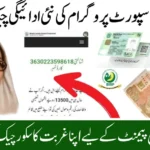 PMT Score Check August 2025