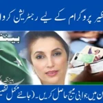 BISP Online Registration 2025