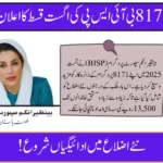 BISP 8171 August 2025 Payment – New Districts Added, Check If You’re Eligible for Rs. 13,500
